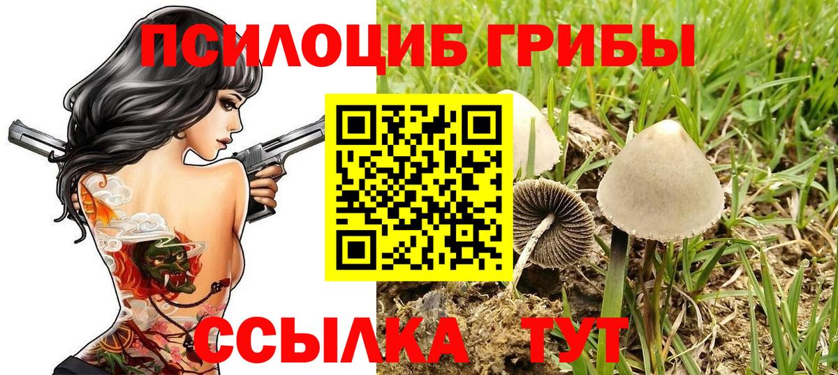 МЕТАДОН Артём