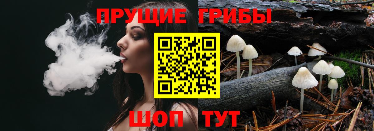 Артём  Псилоцибиновые грибы мицелий  Галлюциногенные грибы Cubensis  Вход с VPN 